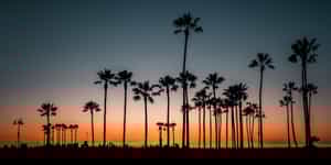 Los Angeles